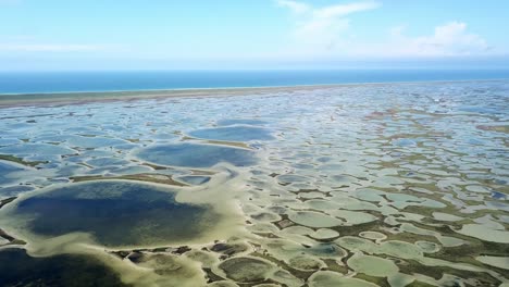 aerial view of round lakes near the sea