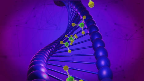 animación de moléculas que se mueven sobre la hilera de adn girando