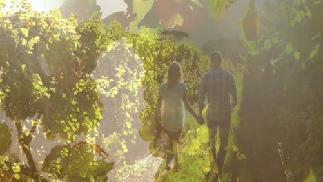 composite video of close up of leaves against rear view of couple holding hands walking in garden