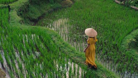 woman-walking-in-rice-paddy-wearing-yellow-dress-with-conical-hat-exploring-lush-green-rice-terrace-in-cultural-landscape-exotic-vacation-through-bali-indonesia-discover-asia