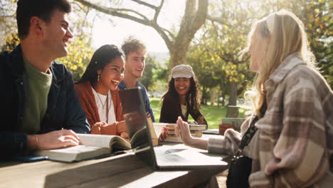 group of students studying together outdoors