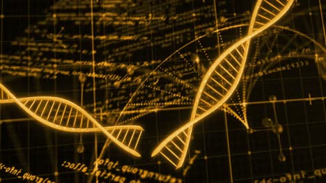 animación de la cadena de adn y procesamiento de datos en fondo negro