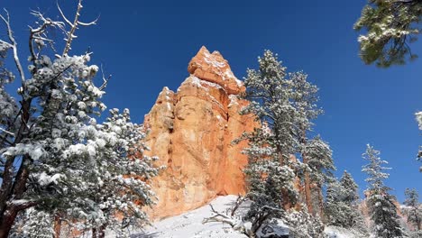 a beautifully serene winter scene showcasing stunning snowcovered red rock formations alongside pine a beautifully serene winter scene showcasing stunning snowcovered red rock formations alongside pine trees