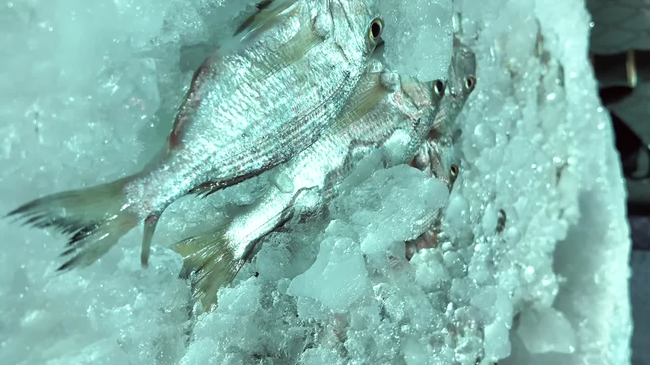 Fresh Fish on Ice Display
