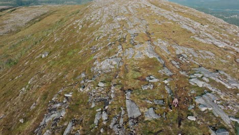 hombre paseando a su perro por el camino de peregrinación costera en la montaña bla heia, noruega - toma estática