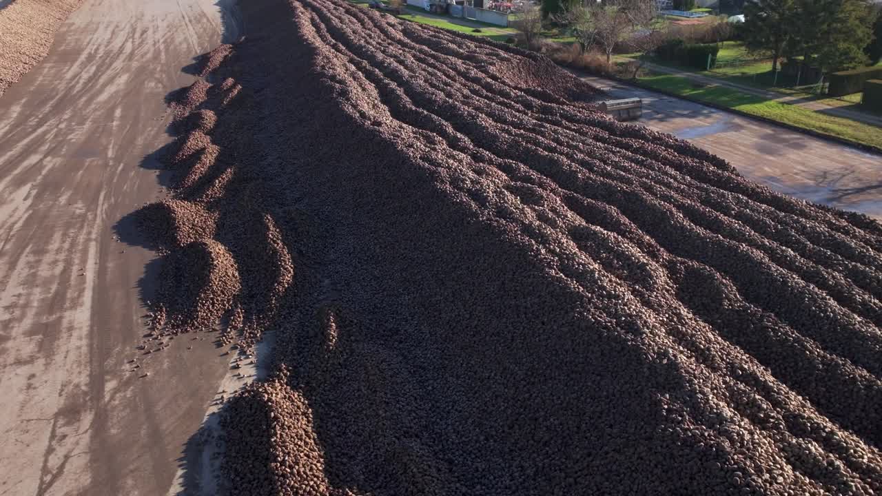 una pila de remolachas azucareras esperando ser recogidas - disparo aéreo de un avión no tripulado
