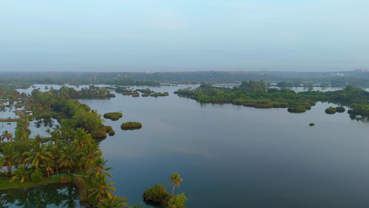 video panorámico de los árboles de la granja de coco en la zona costera de la costa del país tropical de la india kerala paisaje natural laguna de aguas remotas
