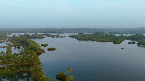 Drohnenaufnahme-Von-Oben,-Panorama-Video-Einer-Kokosnussfarm-Mit-Bäumen-An-Der-Küste,-Tropisches-Land-In-Indien,-Kerala,-Natürliche-Landschaft,-Backwaters-Lagune