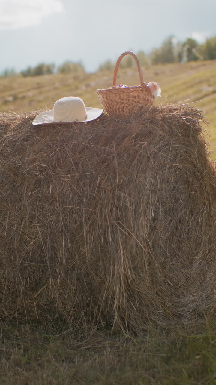 sombrero de sol y canasta de picnic tejida con tela descansada en una bala de heno en vastas tierras de cultivo bajo la luz del sol dorado, una escena rural tranquila evoca simplicidad, estilo de vida rural y ocio pacífico al aire libre