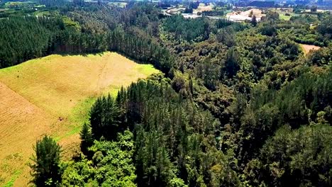 Ein-Wunderschöner-Kristallklarer-Fluss-Mit-Natürlichem-Quellwasser,-Der-Durch-Die-Berge-Von-Neuseeland-Fließt