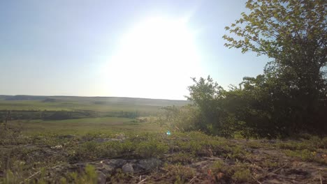 Golden-sunlight-bathes-a-lush-grassy-field,-casting-a-warm-glow-over-the-swaying-blades-and-creating-a-serene-and-peaceful-landscape