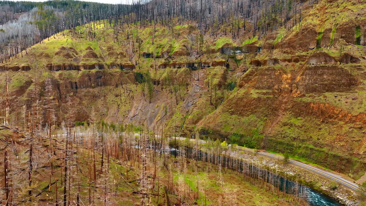 Steep bare mountains with dry tree trunks. River flows among the rocks and highway goes along the river. Top view.