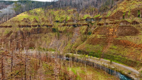 steep bare mountains with dry tree trunks. river flows among the rocks and highway goes along the river. top view.