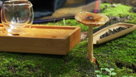 outdoor tea ceremony with mushroom