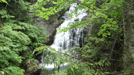 4k-stationary-shot-Maine-forest-wilderness,-a-large-wide-waterfall-can-be-seen-among-the-trees-in-the-distance