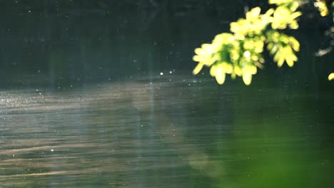 Tranquil-afternoon-on-the-lake