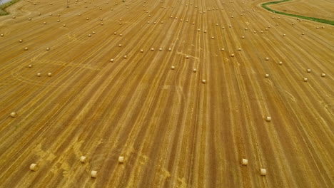aerial view of hay bale field, large agricultural meadow-land in europe