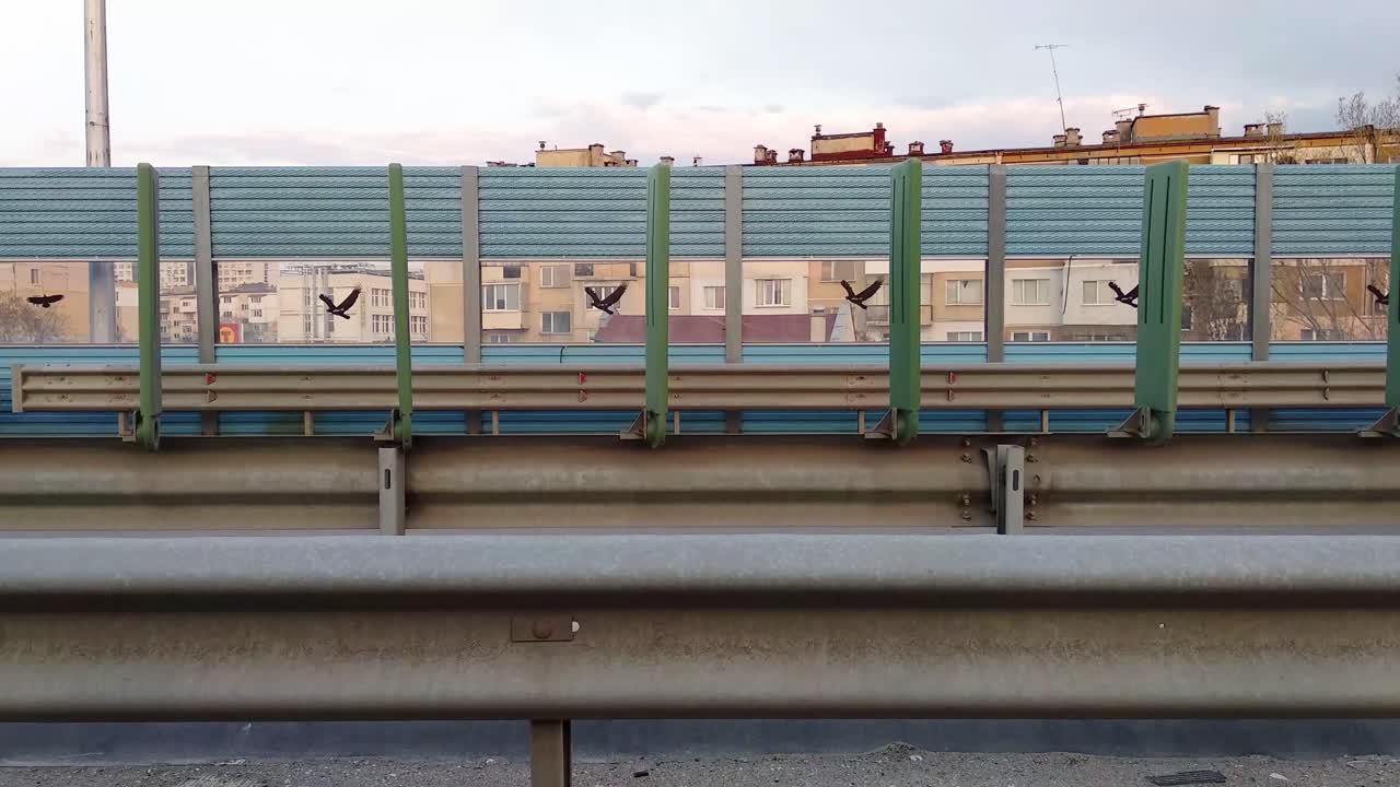 고속도로에서 빠르게 운전하는 오토바이와 자동차