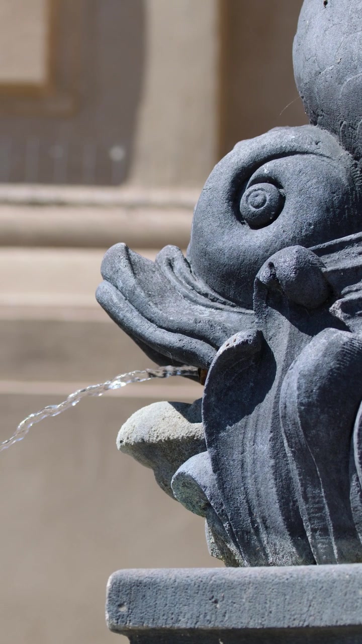 Primo piano di una fontana con scultura di delfino in pietra che zampilla acqua, di giorno, architettura barocca, Praga