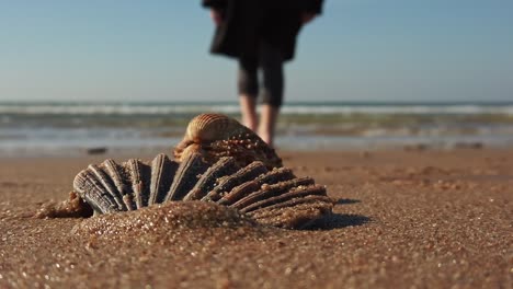 Unrecognisable-young-child-and-pet-dog-chasing-waves-on-golden-beach-with-seashell-in-foreground-slow-motion