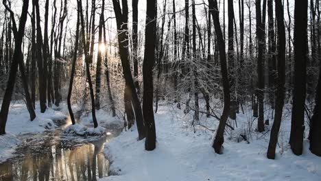 day shot inside a snowy winter forest, waterwheel, and sun