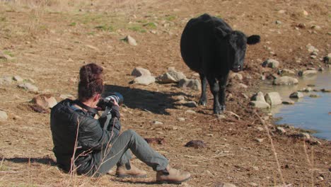 Fotógrafo-Tomando-Fotografías-De-Vacas-Cerca-De-Un-Embalse.