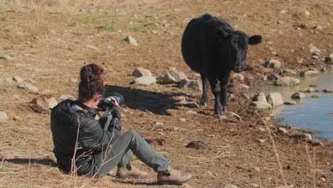 fotógrafo tomando fotos de vacas cerca de un embalse