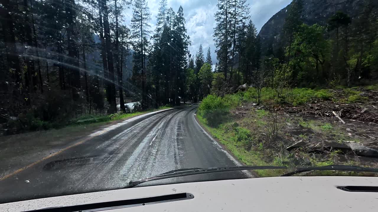 Driving on a Wet Road Through a Lush Forest with Mountains