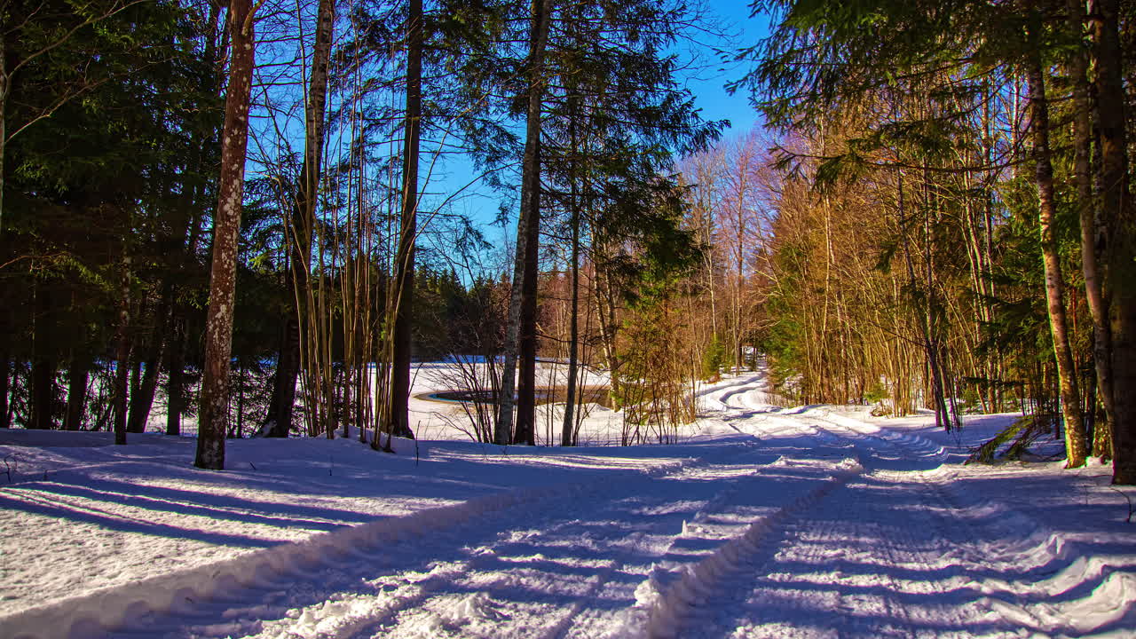 Snowy landscape timelapse, road with tire tracks on the ground and trees surrounding the scene