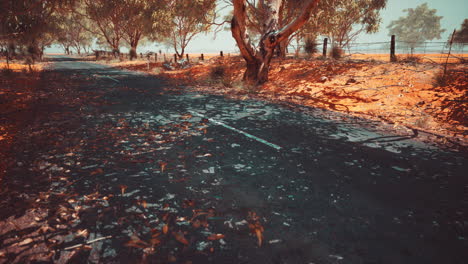 open-road-in-Australia-with-bush-trees