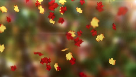 animation of falling leaves loop autumn