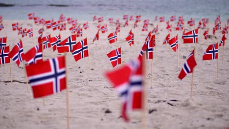 rack focus front to back across many norway flags on sandy beach blowing in breeze