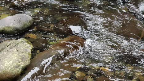 crystal clear river water running over rocks