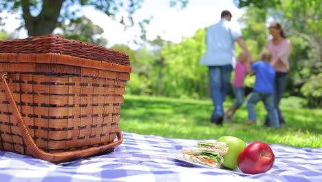 family dancing in a ring in the background with a picnic in the foreground