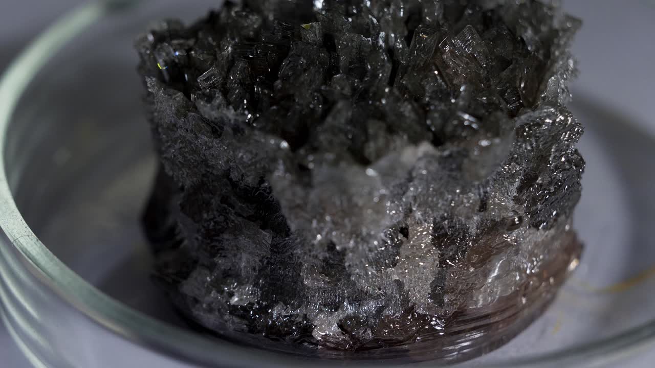 Primer plano de cristales oscuros en una placa de Petri