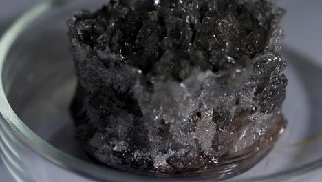 close-up of dark crystals in a petri dish