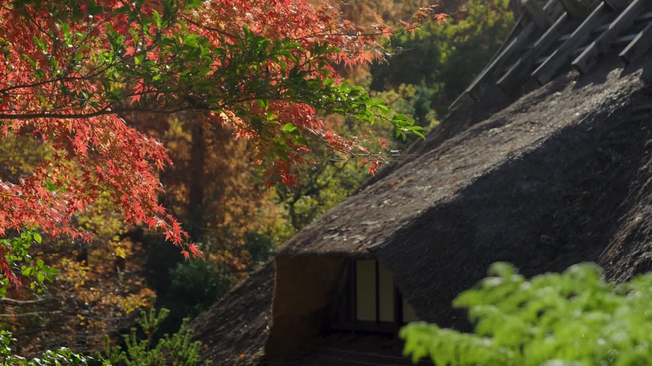 increíble vista cinematográfica en cámara lenta sobre los colores del otoño en el pueblo folclórico japonés