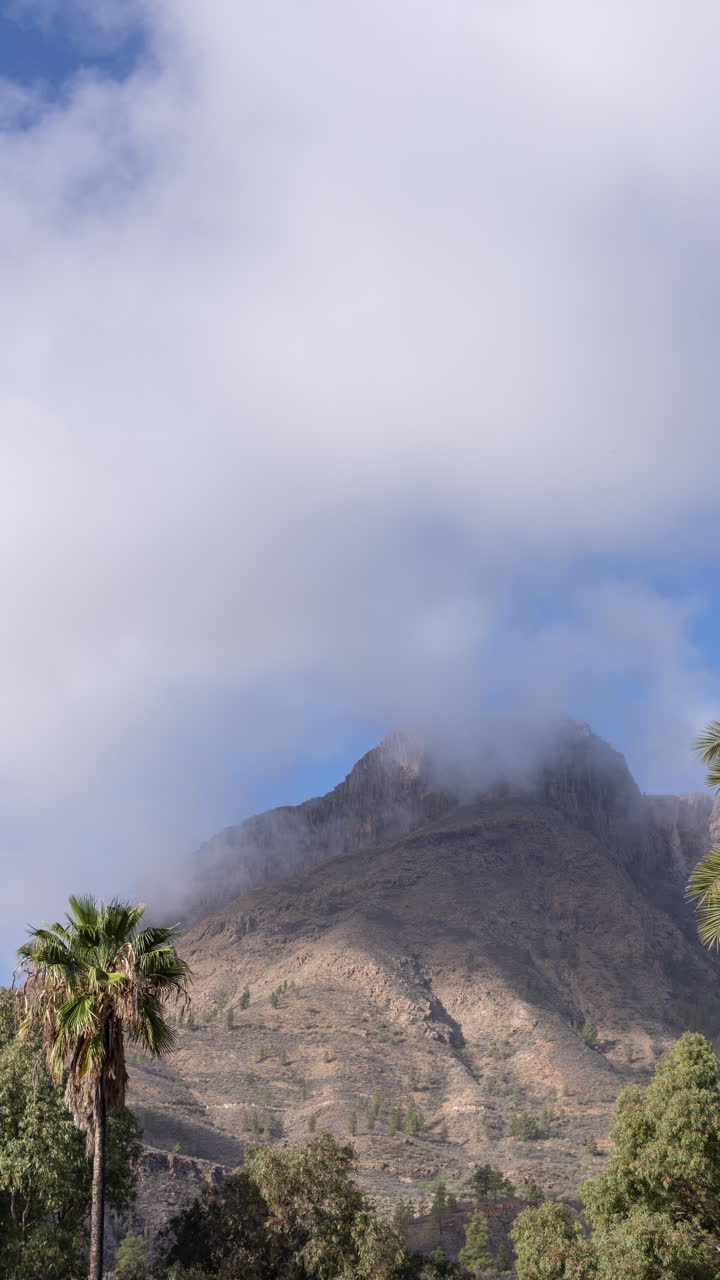 paisaje volcánico árido en gran canaria video vertical