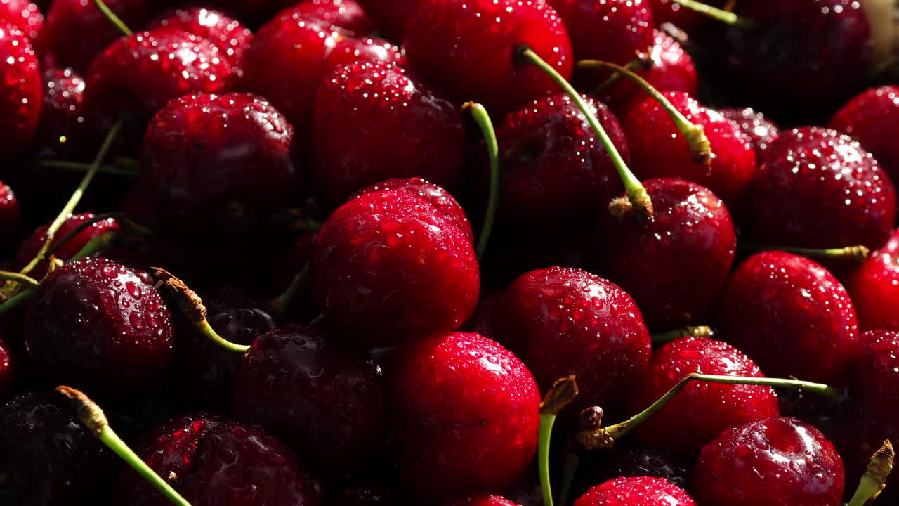 cerezas frescas con gotas de agua en fondo oscuro. cerezas frescas de fondo. concepto de comida saludable.