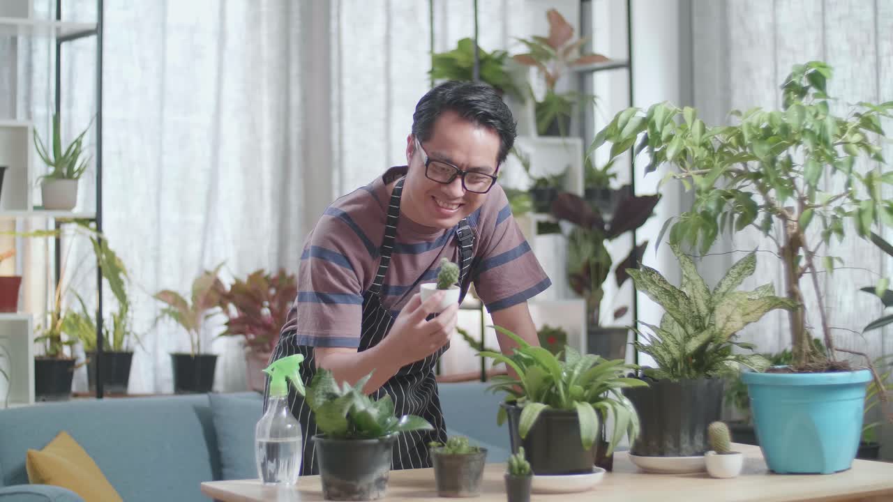 웃는 아시아인 남자가 손에 투스 식물을 보고 머리를 흔들고 있습니다.
