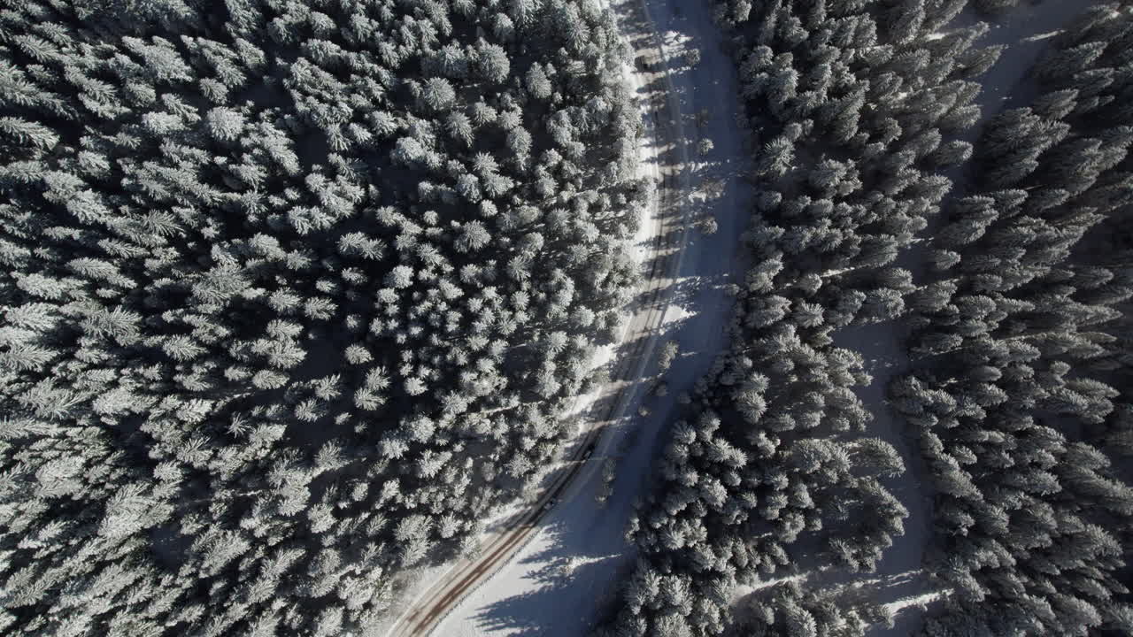Cars Traveling on snowy road in the forest