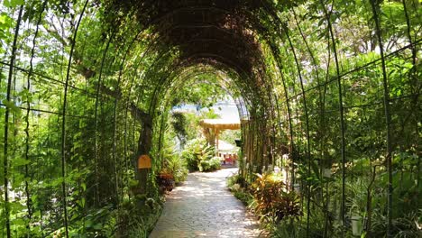 botanical garden tunnel