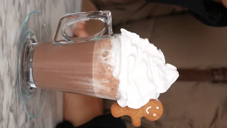 hot chocolate with whipped cream and gingerbread cookie