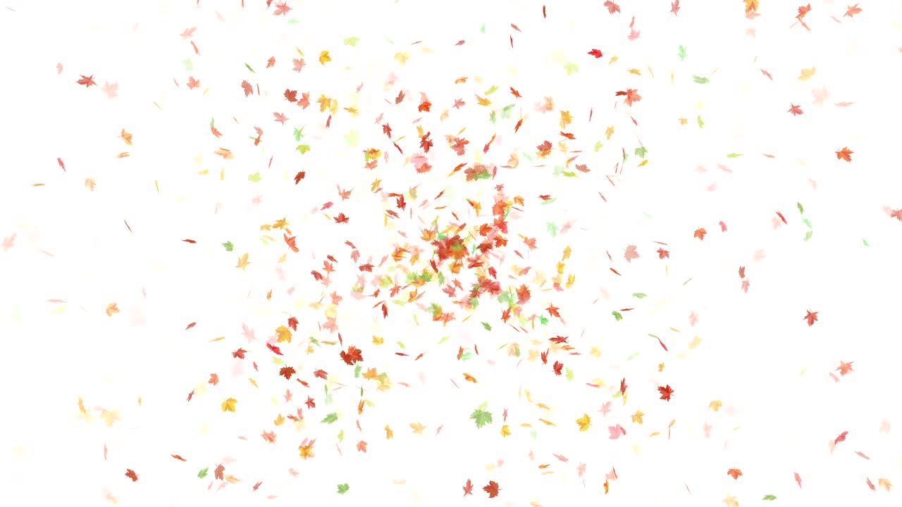 메이플리프 폭발