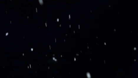 Snow-in-slow-motion-on-a-black-background-to-use-as-an-overlay-on-any-kind-of-footage