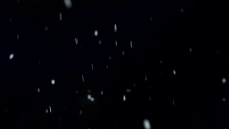 snow in slow motion on a black background to use as an overlay on any kind of footage
