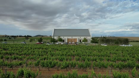 vineyard with white farm house in franschoek south africa at sunset, aerial