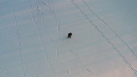 Cinematic-aerial-view-of-person-ice-skate-on-frozen-lake-during-winter-sunset