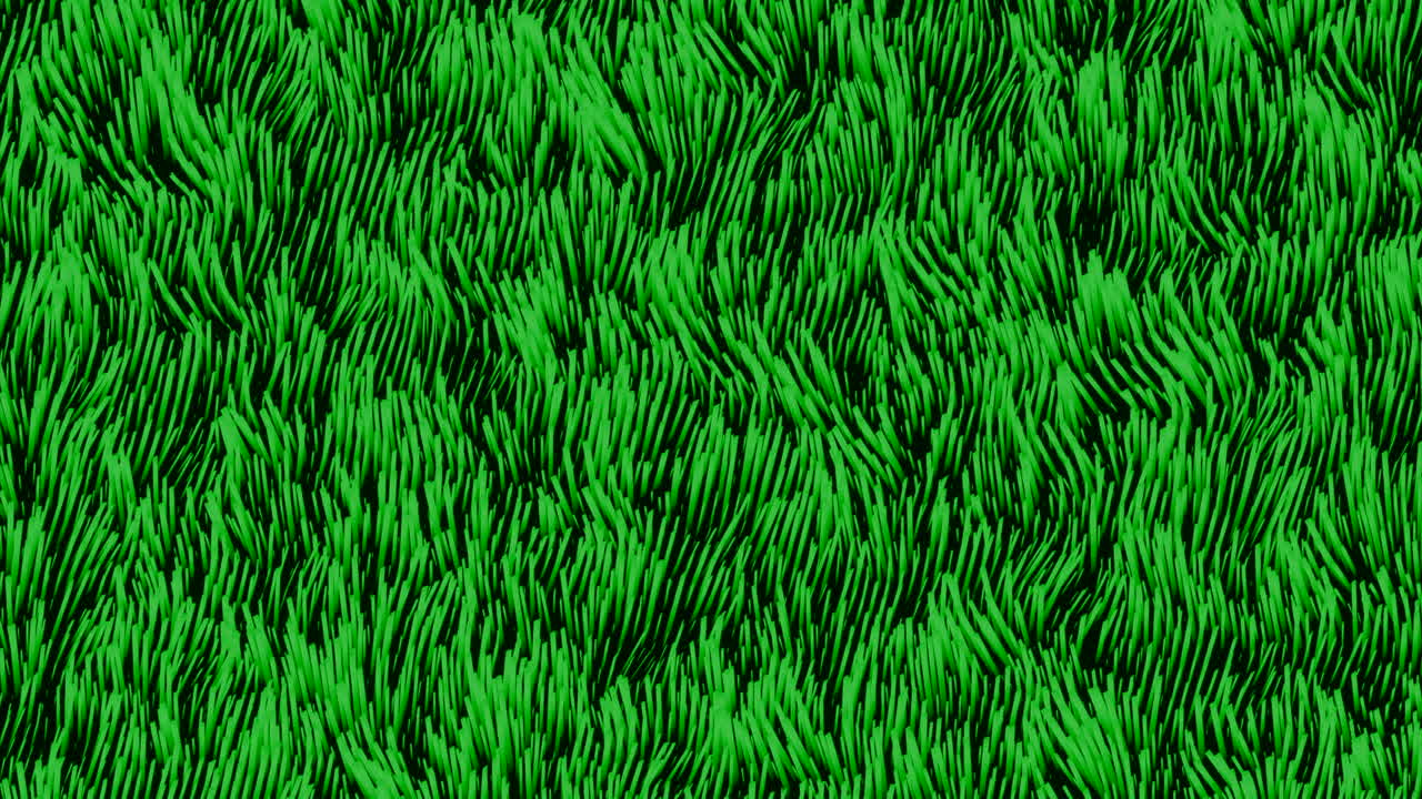 Textura de la hierba verde