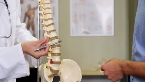 physiotherapist explaining spine model to patient